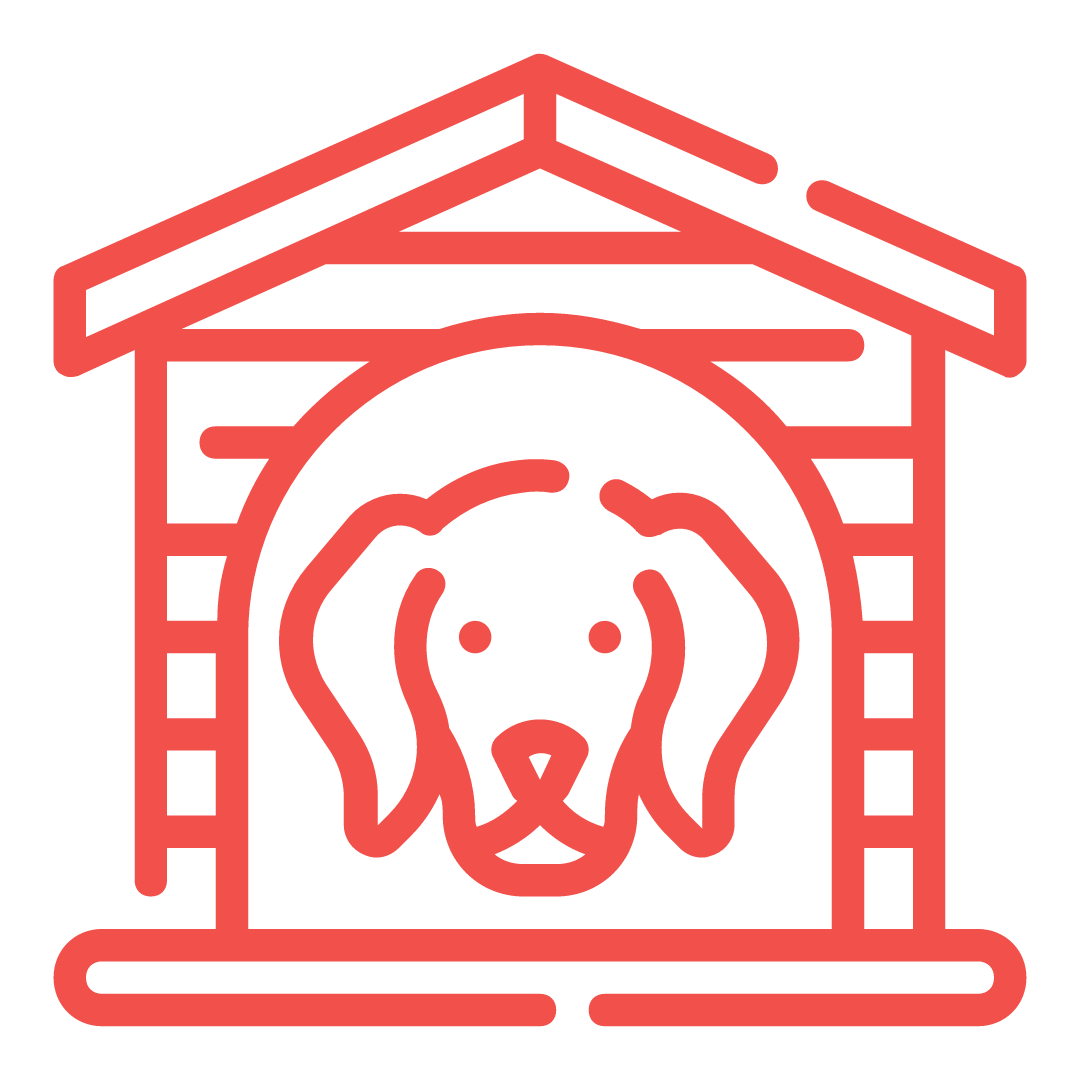 Danni-da-animali-domestici Casa